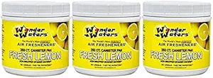 Wonder Wafers 250 Count New Leather Unwrapped Automobile Professional Use Air Fresheners Car and Truck Detail